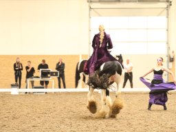IMG_5390_web